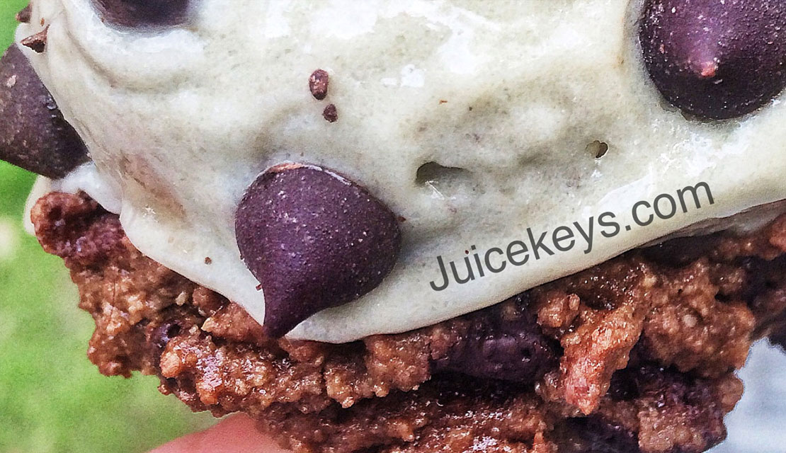 Dairy free & Gluten free Mint Chocolate Chip Ice-cream Sandwich