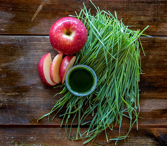 Wheatgrass